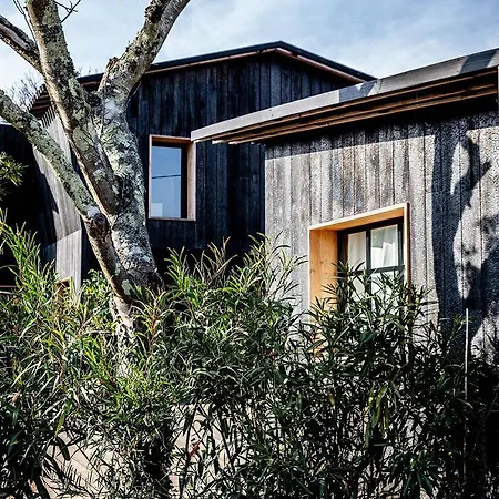 Дом отдыха House