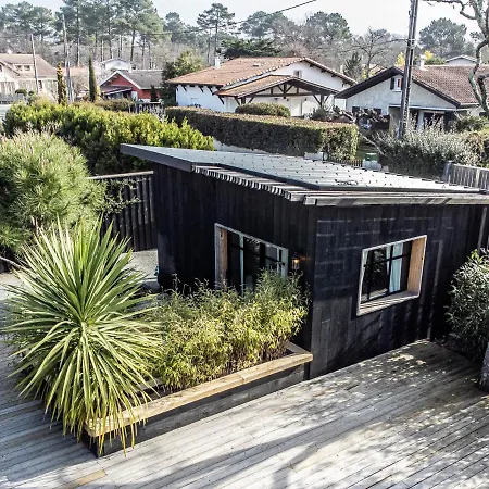 House Holiday home *
