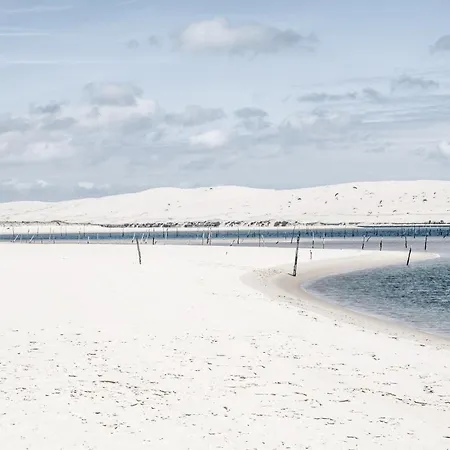 House 別荘 Lège-Cap-Ferret