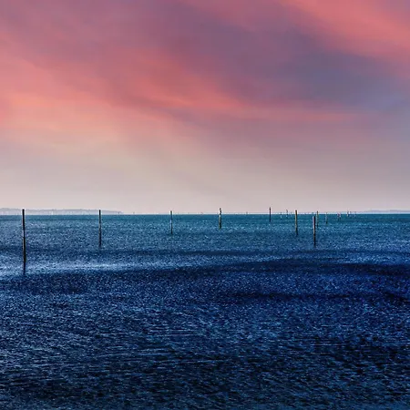 House * Lege-Cap-Ferret
