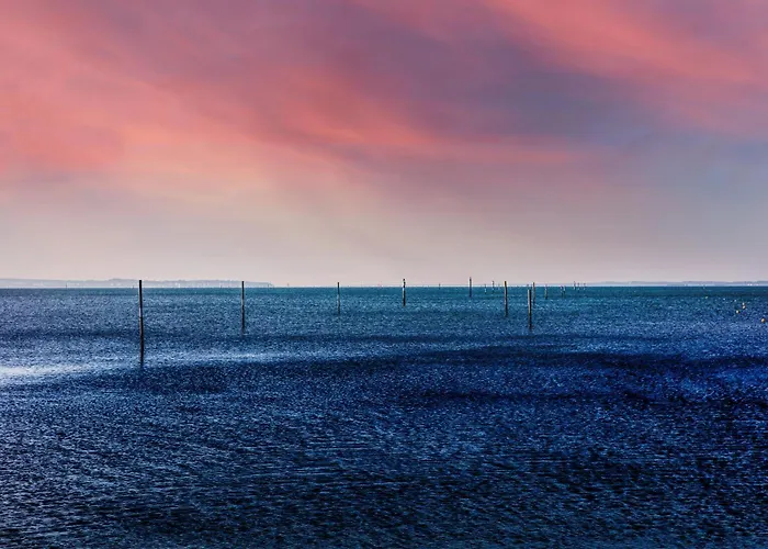 House * Lège-Cap-Ferret